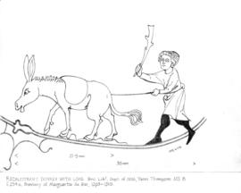 "Recalcitrant donkey with load"