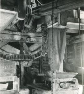 Wallower, Mountnessing