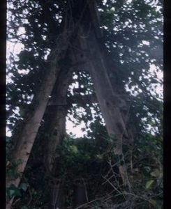 Trestle with pumps, Hollow-post mill, Westham