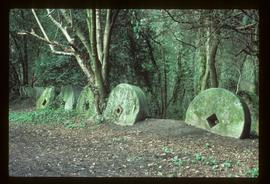 Row of millstones embedded in ground (standing on end)