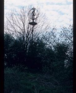 Eoilienne Bollee, St Hugh's Monastery, Cowfold