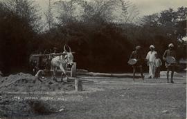 Oxen crushing mortar