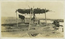 Water raising for irrigation