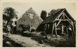 Horse turning oil press