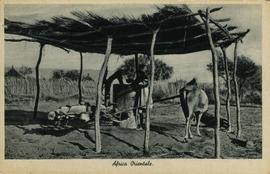 Donkey turning mill wheel