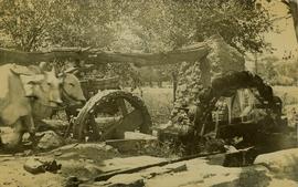 Two oxen raising water