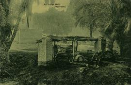 Cow turning a waterwheel at well