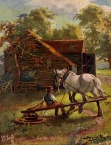 Oilette of horse turning thrashing machine