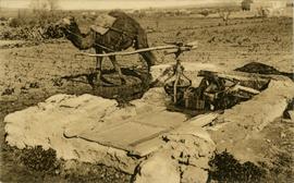 Camel turning mill wheel