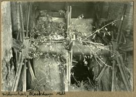 Waterwheel, Blackdown Mill