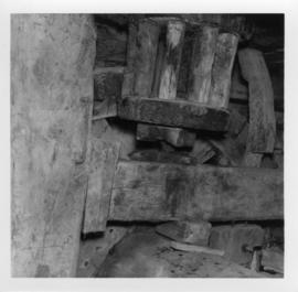 Arden, stone nut and bridge tree