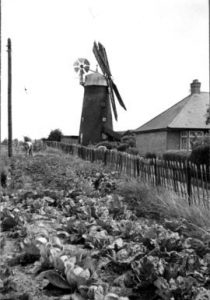 Burwell Tower Mill, Cambridgeshire