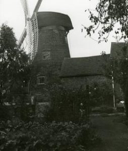 View from the vegetable garden