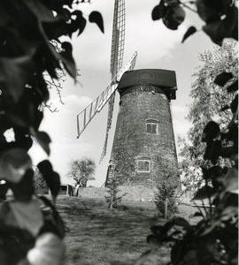 View from orchard after restoration, with Mr Field