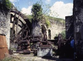 "13 - Martinique Mx and Steam General view Habitation Anse Latouche - Butterfly Farrm"