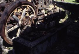 "16 - Steam engine Butterfly Farm Martinique"
