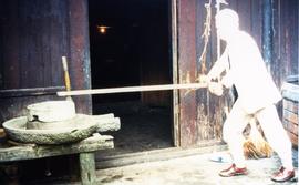 Photograph of Niall Roberts working a quern with t-pole drive, China