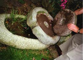 Photograph of old millstones, Old Ross mill, Wexford, Ireland