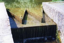Photograph of the weir to a horizontal watermill, Ferrycarrig, Wexford, Ireland