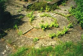 Photograph of a stone slab, Tyringham Park, Buckinghamshire