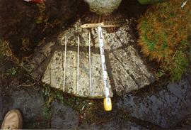 Photograph of a millstone, Goddards, Surrey
