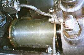 Photograph of a roller, Caribbean