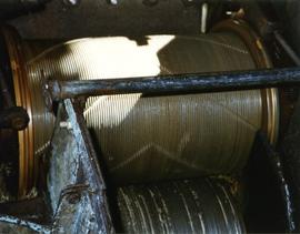 Photograph of a roller, Caribbean