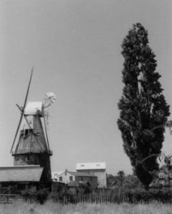 Union Mill, Cranbrook