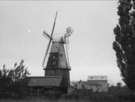 Union Mill, Cranbrook