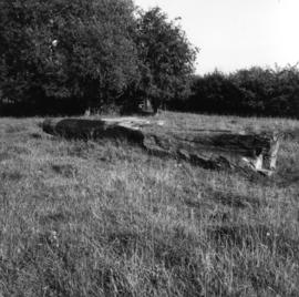 "Frittenden, Kent, collapsed post - trestle details"