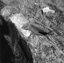"Frittenden, Kent, collapsed post - trestle details"