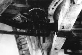 Stone nut and bridge tree, Ripple Mill, Ripple