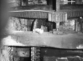 Stone nut and bridge tree, Efford Mill, Milford on Sea