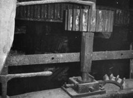 Stone nut with segment removed, Efford Mill, Milford on Sea