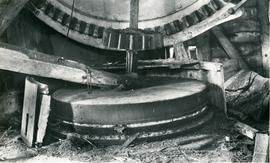 Stone nuts, Catfield Mill, Norfolk