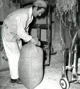 Worker tying a sack, Burgh-next-Aylsham, Norfolk