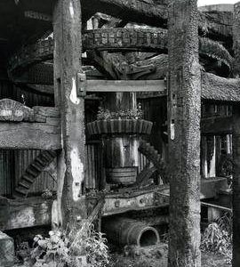 Horstead Mill, Norfolk, exposed gearing