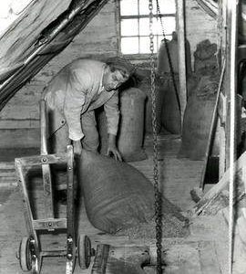 Woodbridge Tide Mill, Suffolk, using sack hoist in roof