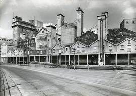 Cranfield's Mill, Ipswich from dockside