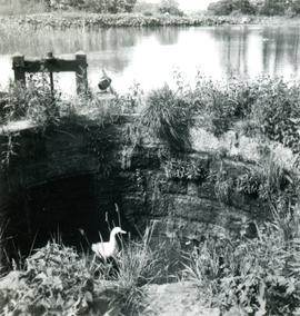 Unidentified Mill near Newark