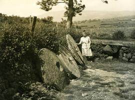 Watermill, Llecheiddior