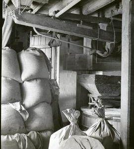 Terwick Mill, Rogate