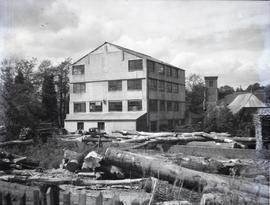 Spring Garden Paper Mill, Buckland