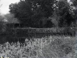 Lower Mill, Little Bognor