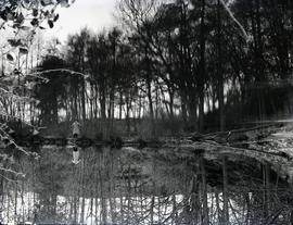 Lower Mill, Little Bognor