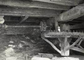 Horse Mill,  Foale Leigh, Harberton