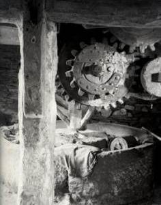 Horse Mill,  Foale Leigh, Harberton