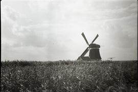 "At work again with canvas fully spread"