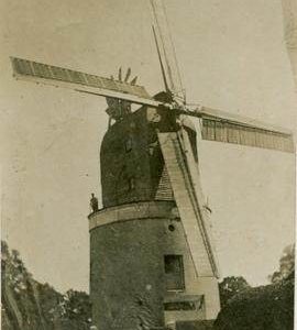 Composite Mill, Little Laver