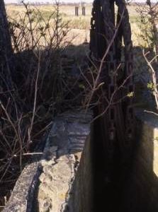 "Runham 5 Mile House"